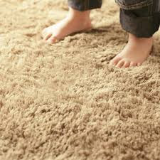 Carpet Soiling Guard