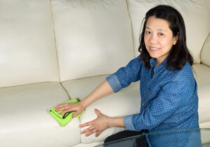 DIY Upholstery Protection