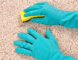 Makes Carpet Cleaning Easier