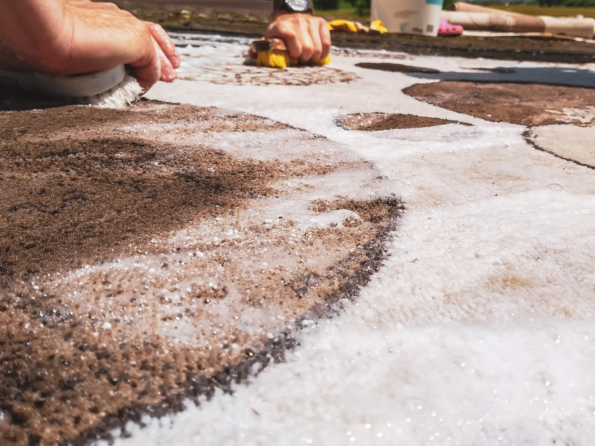 How To Protect Area Rug From Stains UltraGuard