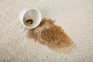 Common Types Of Carpet Damage