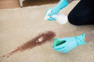 How-To-Keep-Your-Couch-Stain-Free-Without-Covers-In-san-Juan-Capistrano