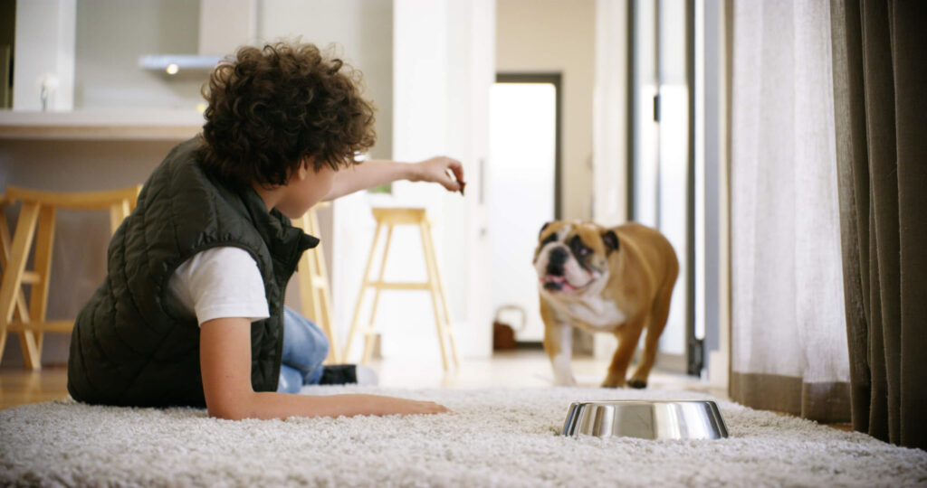 Learn how Ultra-Guard Fabric Protection helps protect furniture and carpets from stains in homes with kids and pets in San Juan Capistrano California